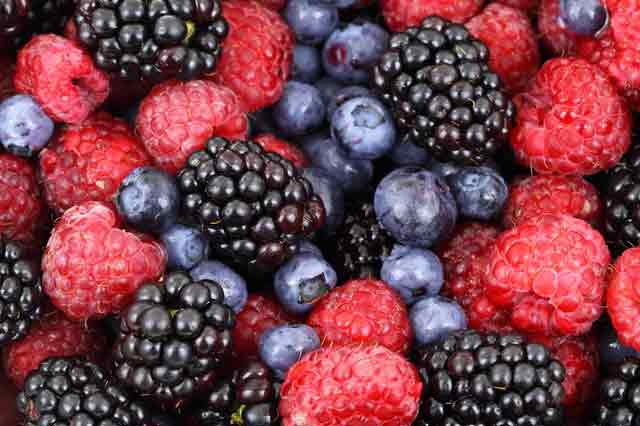 Sirtfood Beeren Sirtfood Beeren
